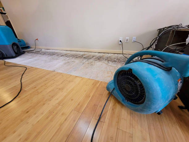 Professional Water Removal technician working in Hartselle, AL